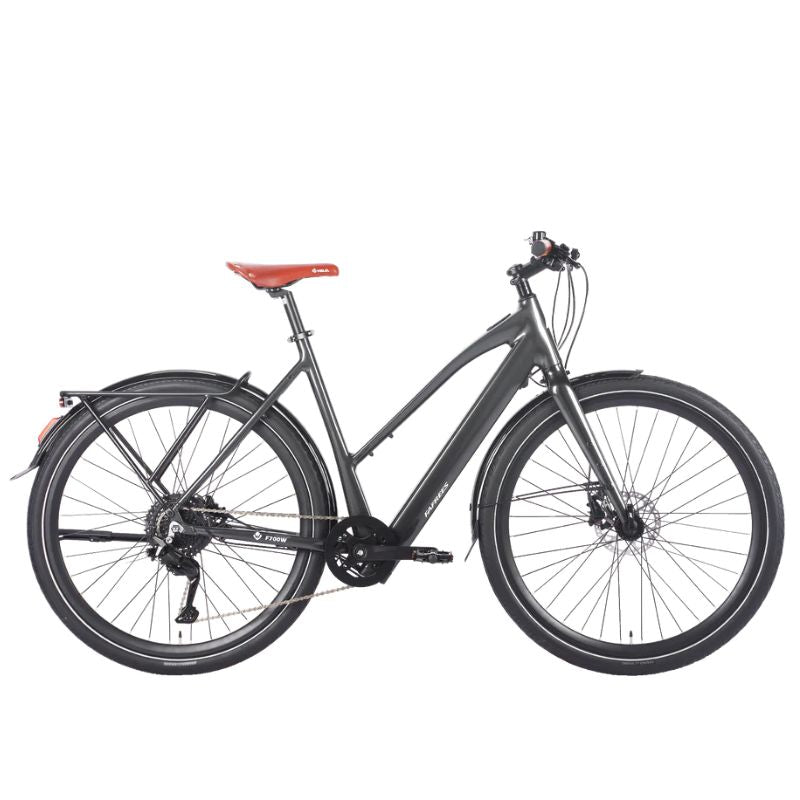Fafrees F700W Electric Bike