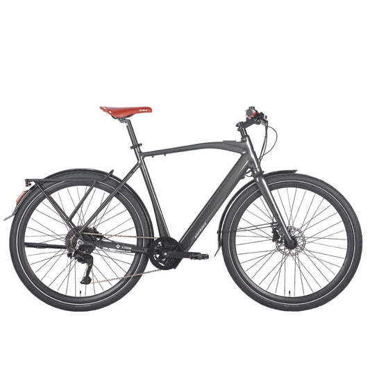 Fafrees F700M Electric Bike