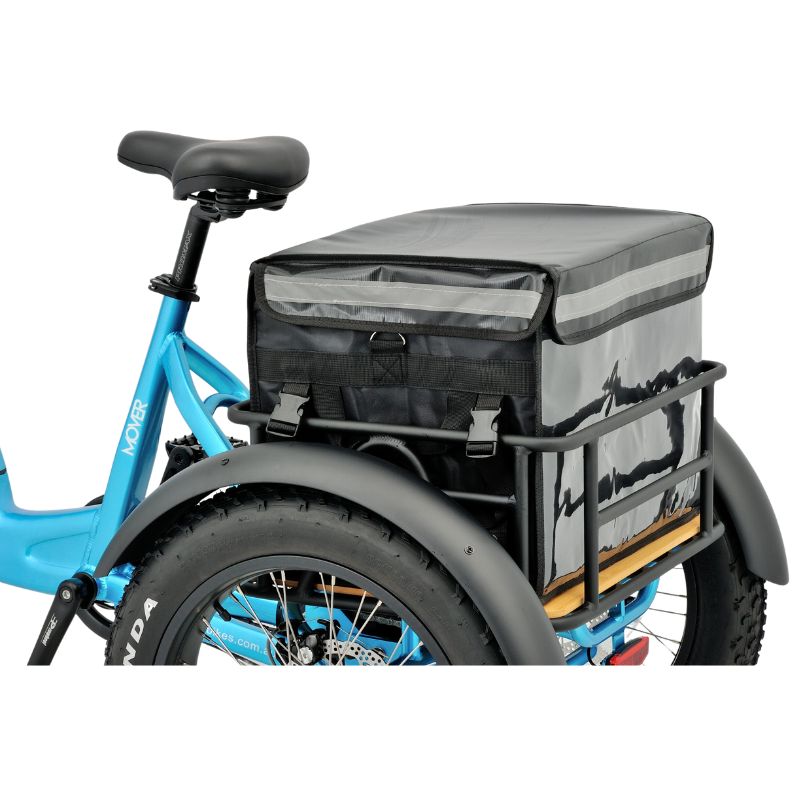 Revom T1 Fat Tyre Electric Tricycle 250W 15.5mph – EAPC Compliant