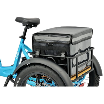 Revom T1 Fat Tyre Electric Tricycle 250W 15.5mph – EAPC Compliant