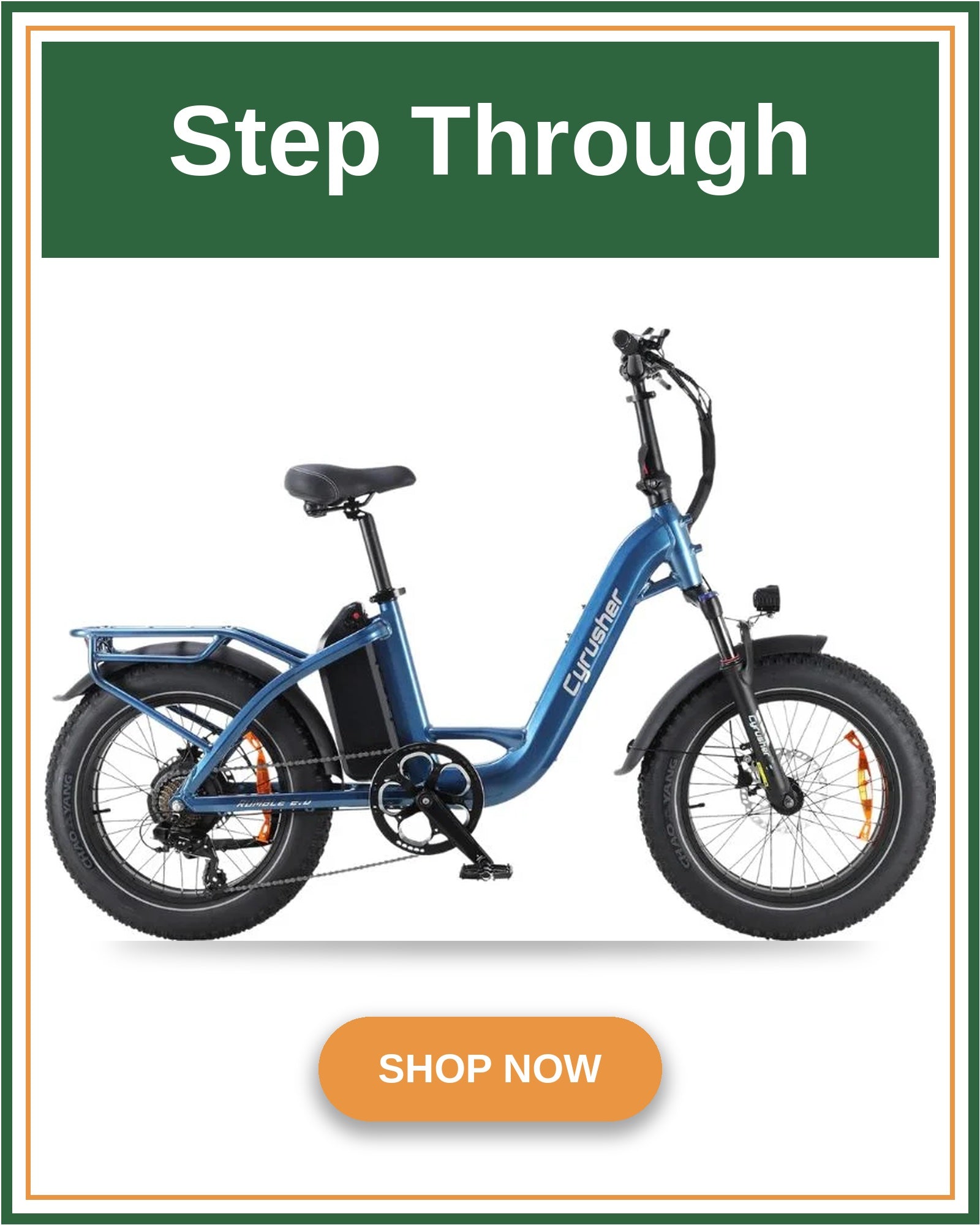 Step Through Bike