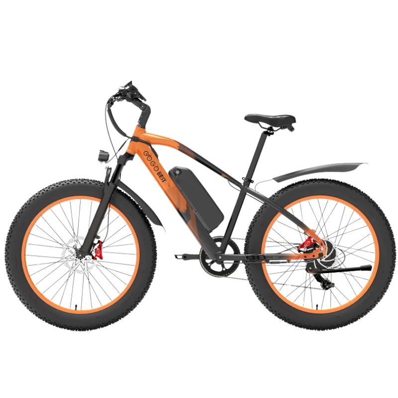 Hydraulic disc brake close view on front wheel