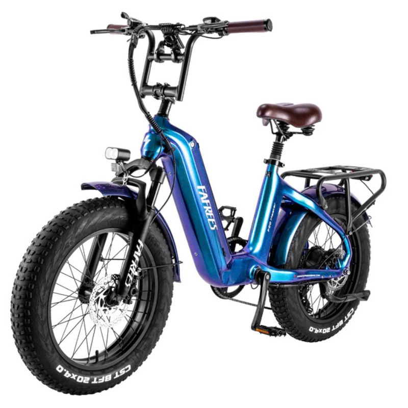 Fafrees F20 Master Electric Bike