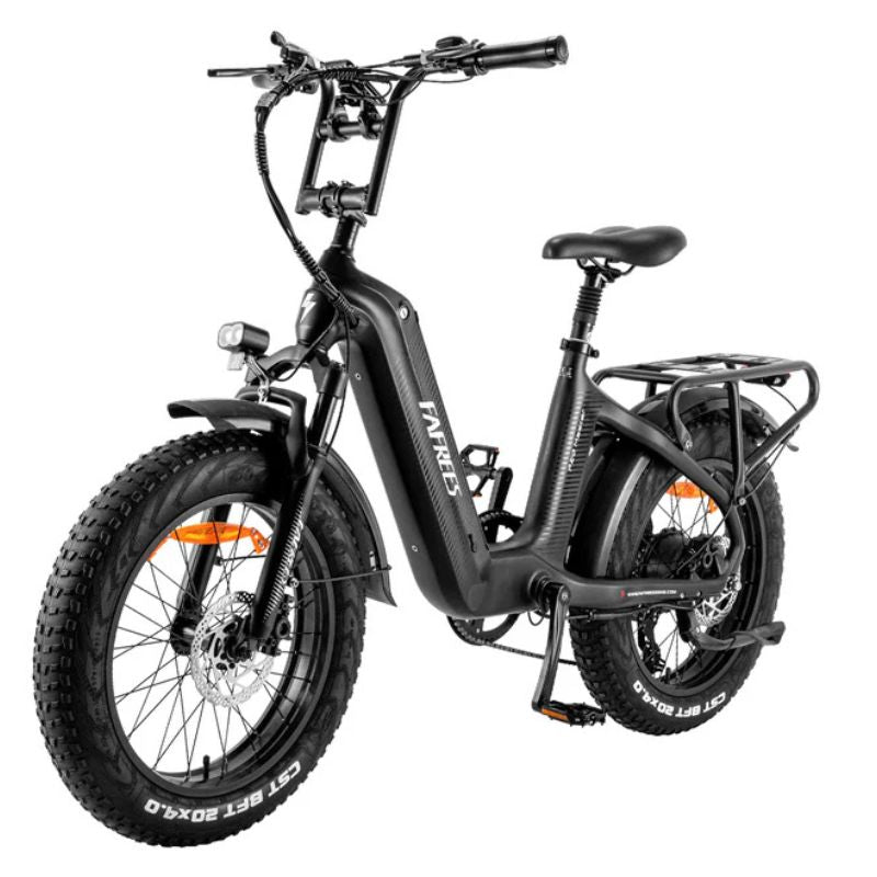 Fafrees F20 Master Electric Bike