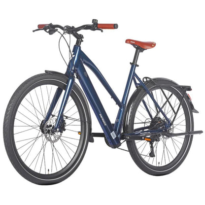 Fafrees F700W Electric Bike