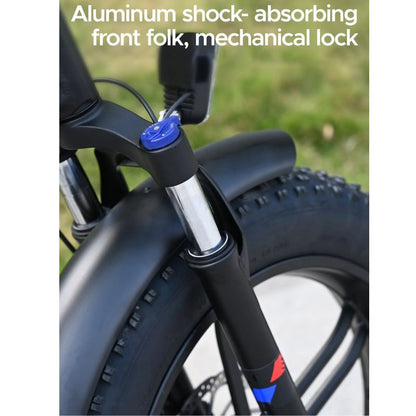Engwe Engine X 250W Full Suspension Foldable Electric Fat Tire Bike
