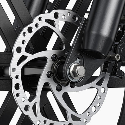 Engwe L20 Boost 75Nm Torque Utility Fat Tire